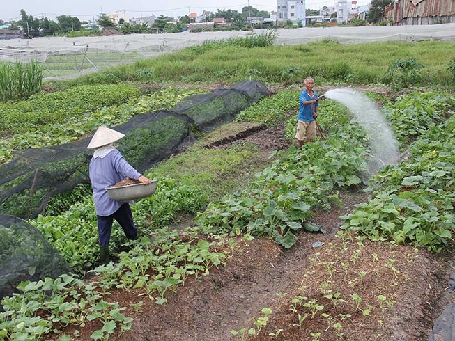 Chuyển đổi 26.000 ha đất nông nghiệp: Dân sẽ được lợi!